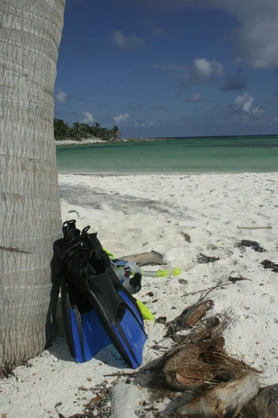 Snorkel and fins on beach — Stock Photo, Image