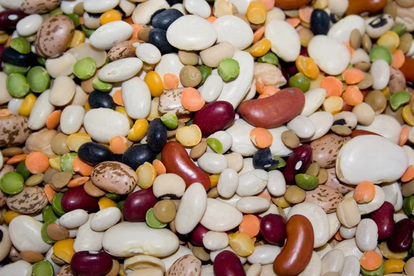 stock image Mixed dried beans