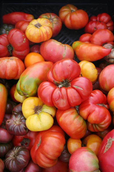 奇妙な形の市場での販売のための新鮮なトマト ストックフォト