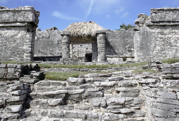 Руины в Тулуме, Мексика 3 — стоковое фото