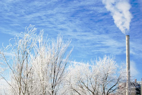 stock image Winter scene frosted branches with industrial smokestack