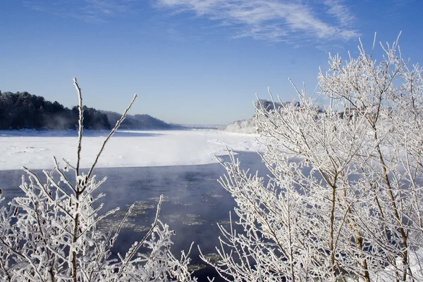 Inverno panoramici rami ghiacciati vicino al fiume — Foto Stock