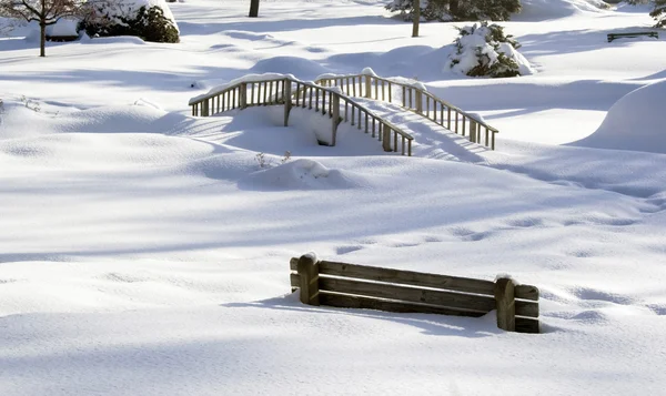 在白雪皑皑的公园冬季现场 — 图库照片