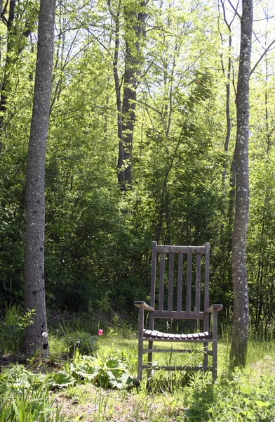 Garden chair with trees — Stock Photo, Image
