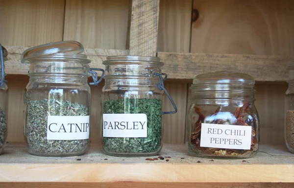 stock image Garden herbs in jars
