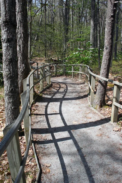 Resor gångväg väg i skogen — Stockfoto
