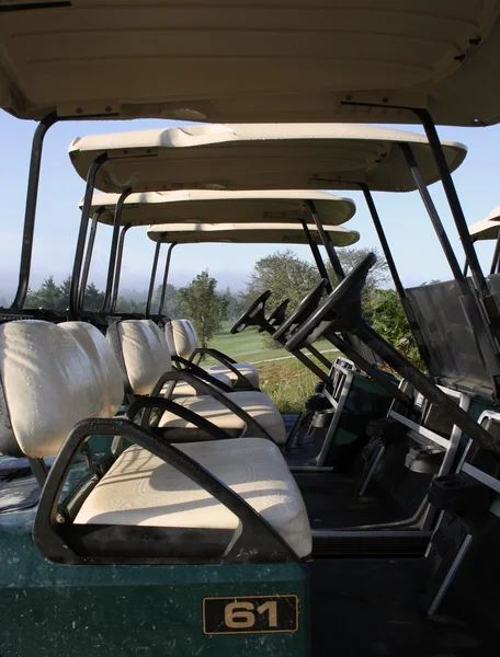 Stock image Row of parked golf carts