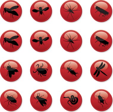 Insects clipart