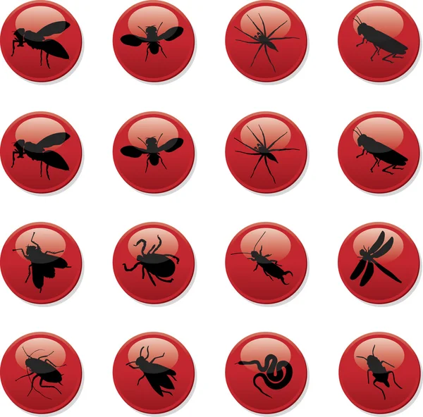 Insectos — Archivo Imágenes Vectoriales