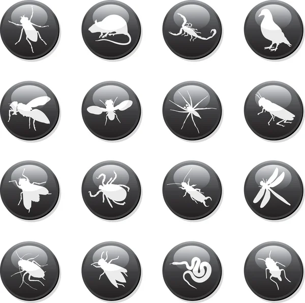 Insectos — Archivo Imágenes Vectoriales