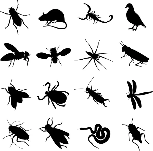 Insectos — Vector de stock