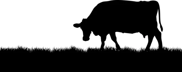 Vaca — Vetor de Stock