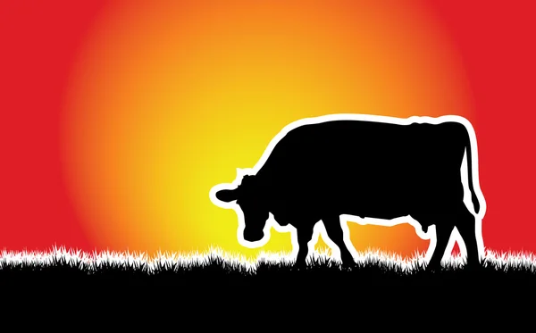 Krowa — Wektor stockowy