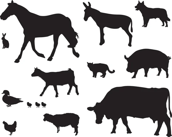 动物 — 图库矢量图片