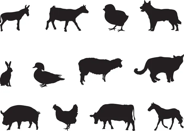 动物 — 图库矢量图片