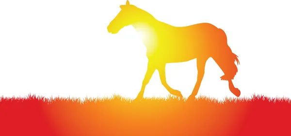 Häst — Stock vektor