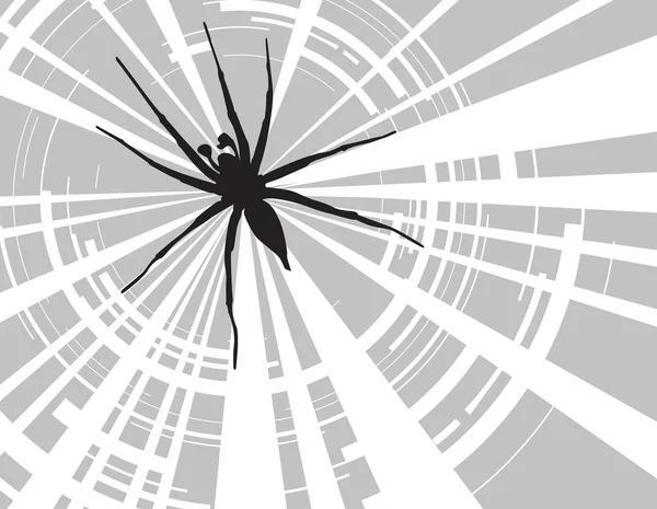 Spinne — Stockvektor