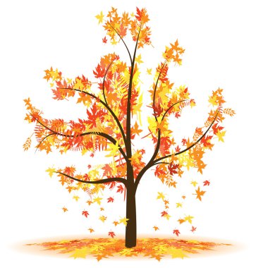 An abstract autumn tree clipart