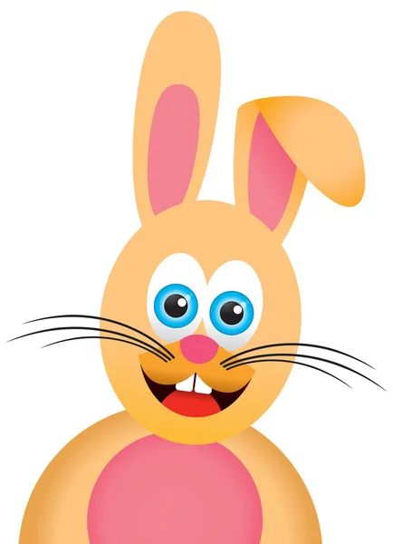 Conejo Pascua Dibujos Animados —  Fotos de Stock