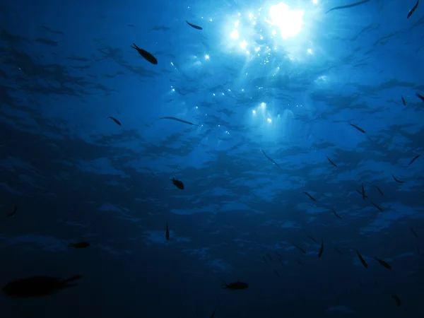 Azul profundo — Foto de Stock