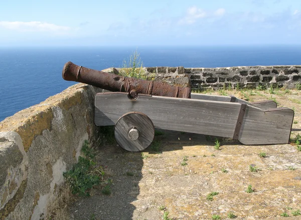 stock image Cannon