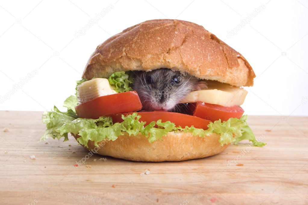 hamster burger