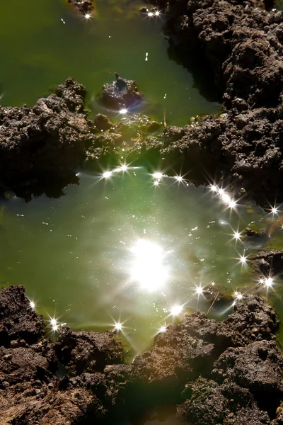 Nap a vízben Kira Stock Kép