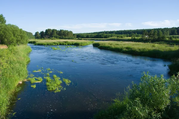 stock image Tranquil river and the meadows