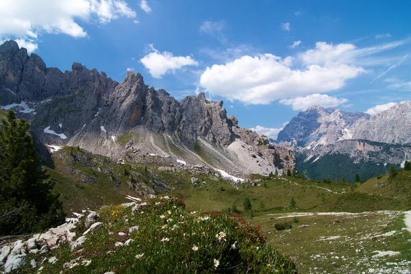 stock image Mountain panoramic view