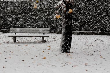 The bench in the storm clipart