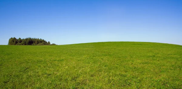 stock image Summer panorama landscape with sky and field