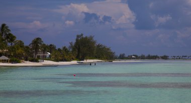 grand cayman, sakin okyanus manzarası