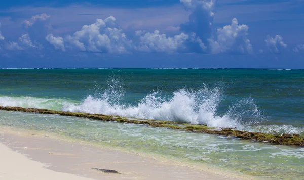 Praia bonita com ondas batendo — Fotografia de Stock