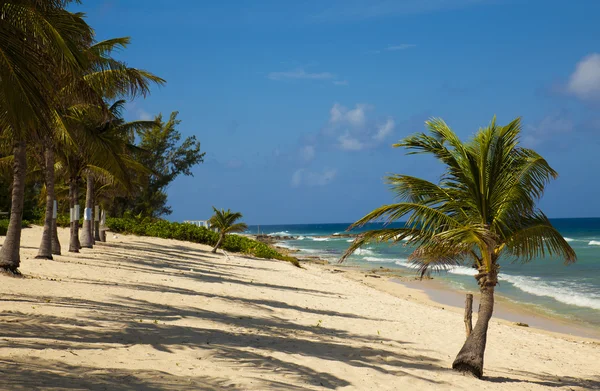 Приголомшливі пляжі на острові Великий Кайман — стокове фото