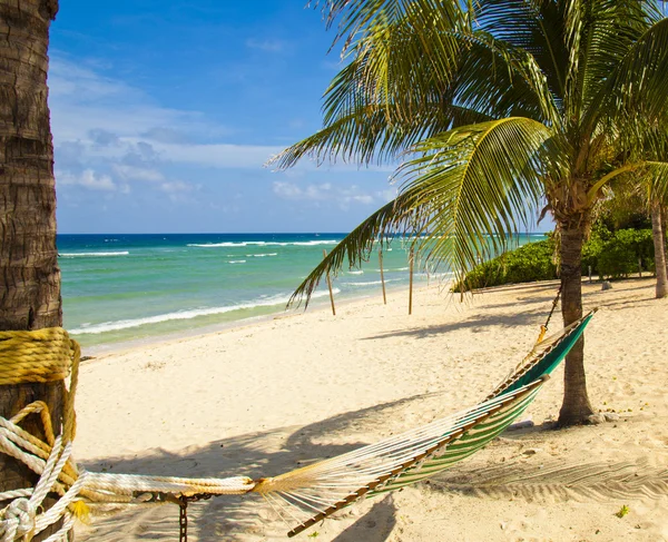 Grand cayman'ın çarpıcı Beach'de iki palmiye ağaçlarının arasında hamock — Stok fotoğraf
