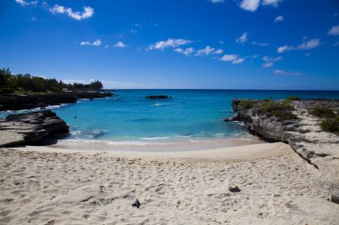 Smith Cove beach and ocean in Grand Cayman, Cayman Islands clipart