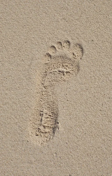 Fußabdrücke im Sand lizenzfreie Stockfotos