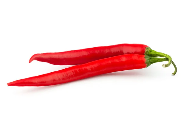 stock image Chili pepper