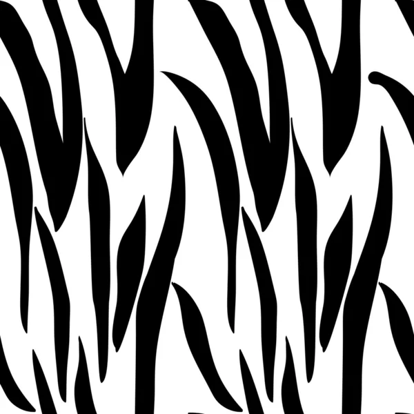 Repetições de zebra —  Vetores de Stock