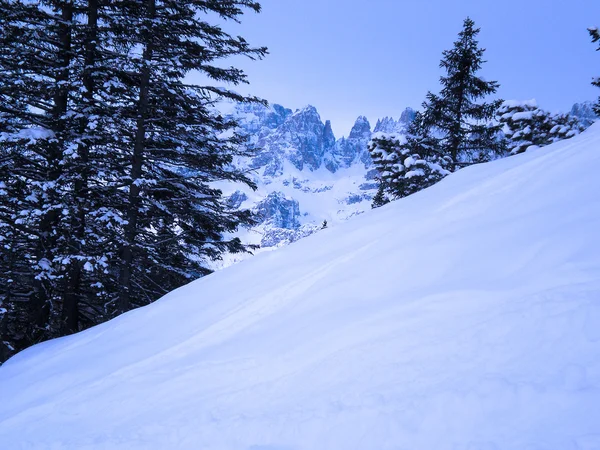 Brenta Dolomites Winter — Stock Photo, Image