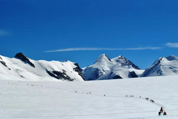 Alpinists on the glacier — Stock Photo, Image