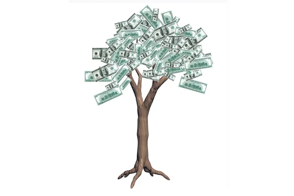 Дерево Долларовыми Банкнотами Выделено Белом Фоне — стоковое фото