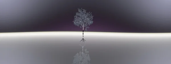 Night Panorama Tree Executed Three Dimensional Editor — Stock Photo, Image