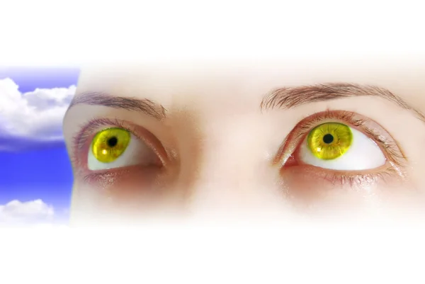 Żółte oczy — Zdjęcie stockowe