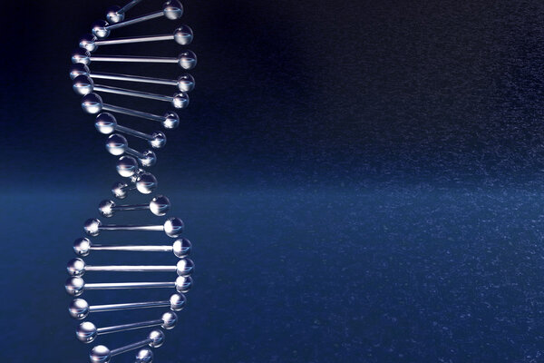 Молекула ДНК
