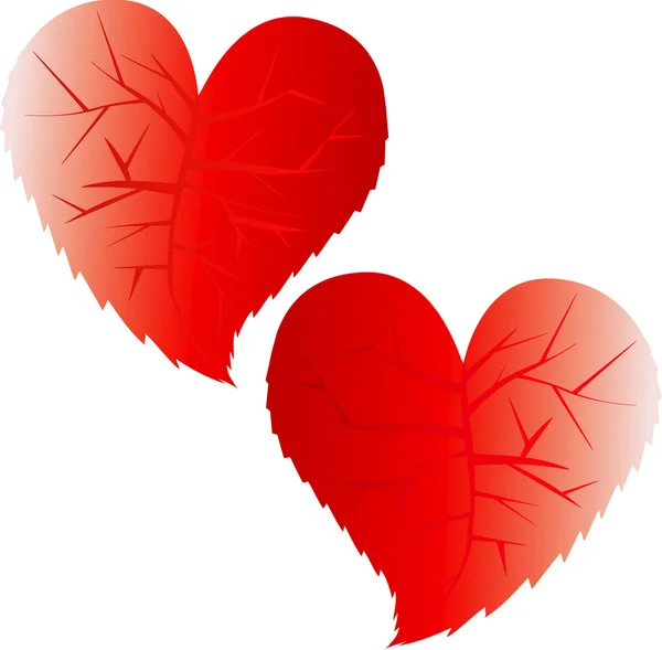 Два Красных Сердца Изолированы Белом Фоне — стоковый вектор
