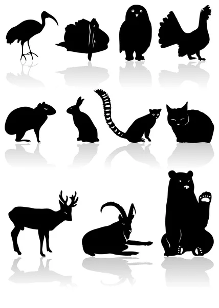 Ensemble Silhouettes Animales Noires Avec Ombre — Image vectorielle