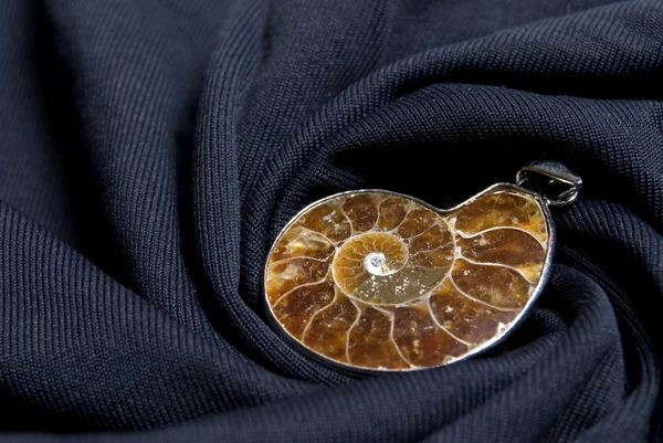 stock image Ammonite conch on the black spiral background