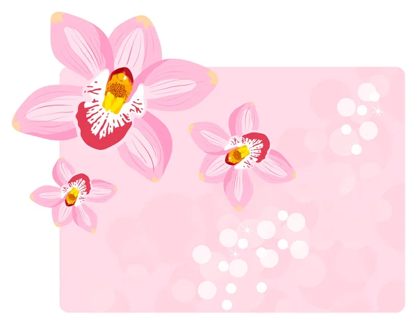 Stock vector The vector orchids on a pink background