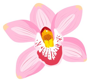 The vector orchid is isolated on a white background clipart